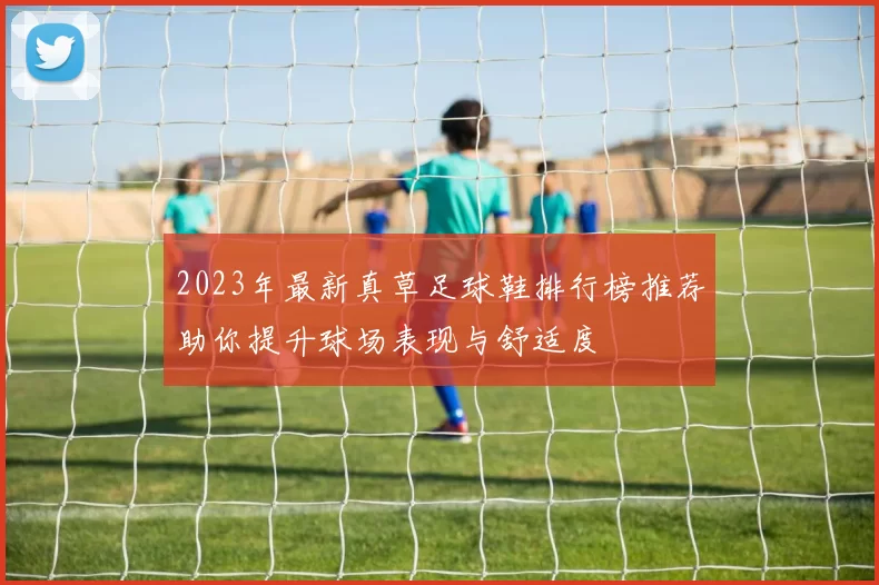 2023年最新真草足球鞋排行榜推荐助你提升球场表现与舒适度
