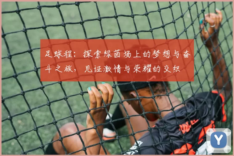 足球程：探索绿茵场上的梦想与奋斗之旅，见证激情与荣耀的交织
